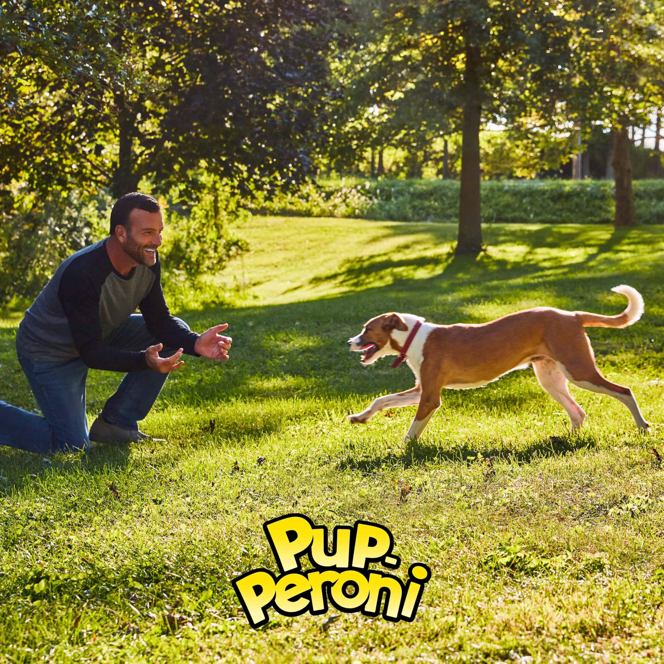 Pup-Peroni Dog Treats, Original Bacon Flavor, 5.6 Ounce (Pack of 8), Made with Real Bacon