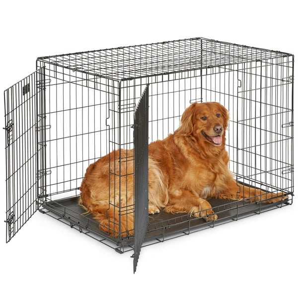 MidWest Homes for Pets 42-Inch iCrate for Large Breeds, 71-90 lbs, Single Door Folding Dog Crate with Divider Panel, Leak-Proof Tray & Secure Latch, Portable, Durable & Easy to Assemble