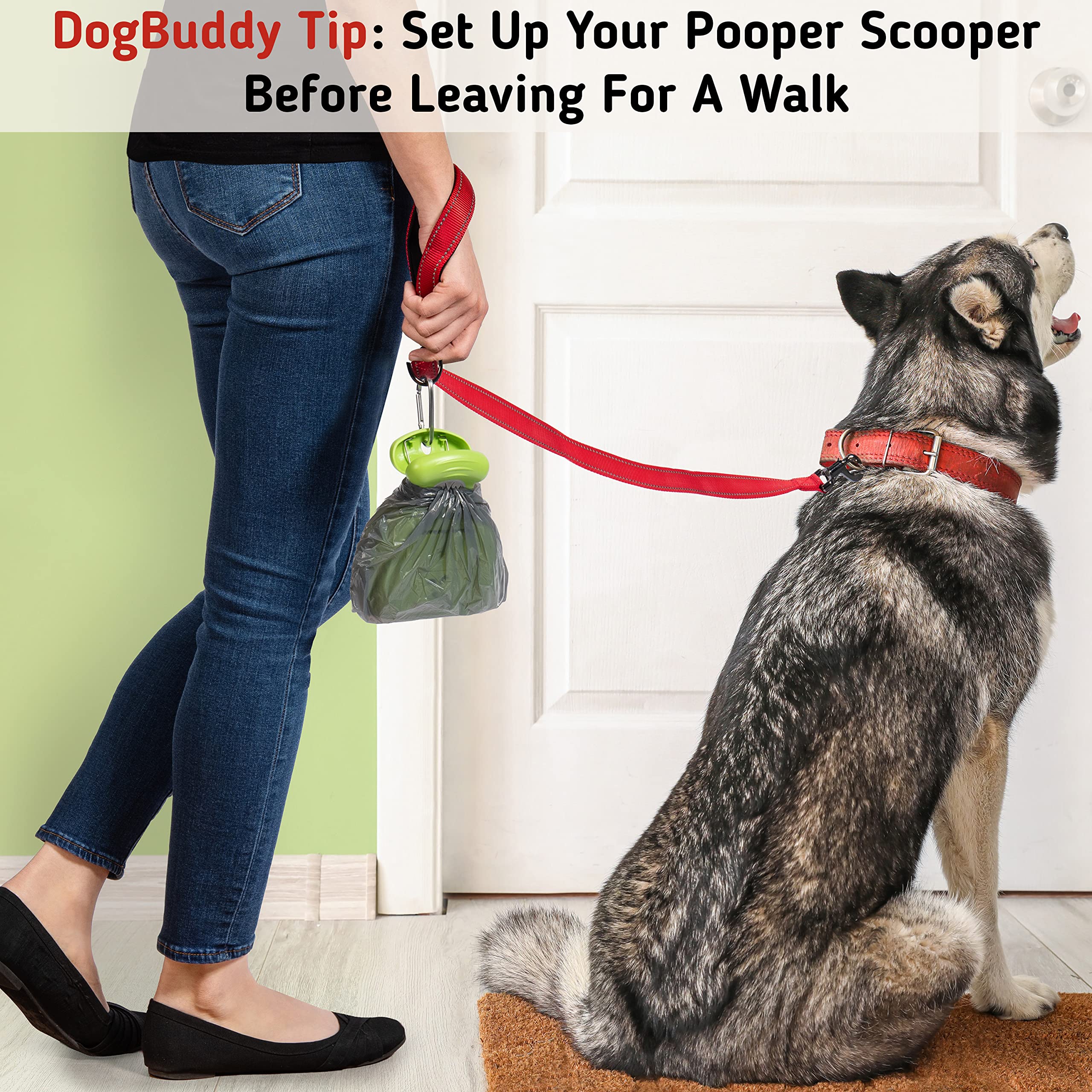 DogBuddy Pooper Scooper, Portable Dog Pooper Scooper, Poop Scooper for Small and Large Dogs, Pooper Scooper with Bag Attachment, Leash Clip and Dog Waste Bags Included (Large, Kiwi)