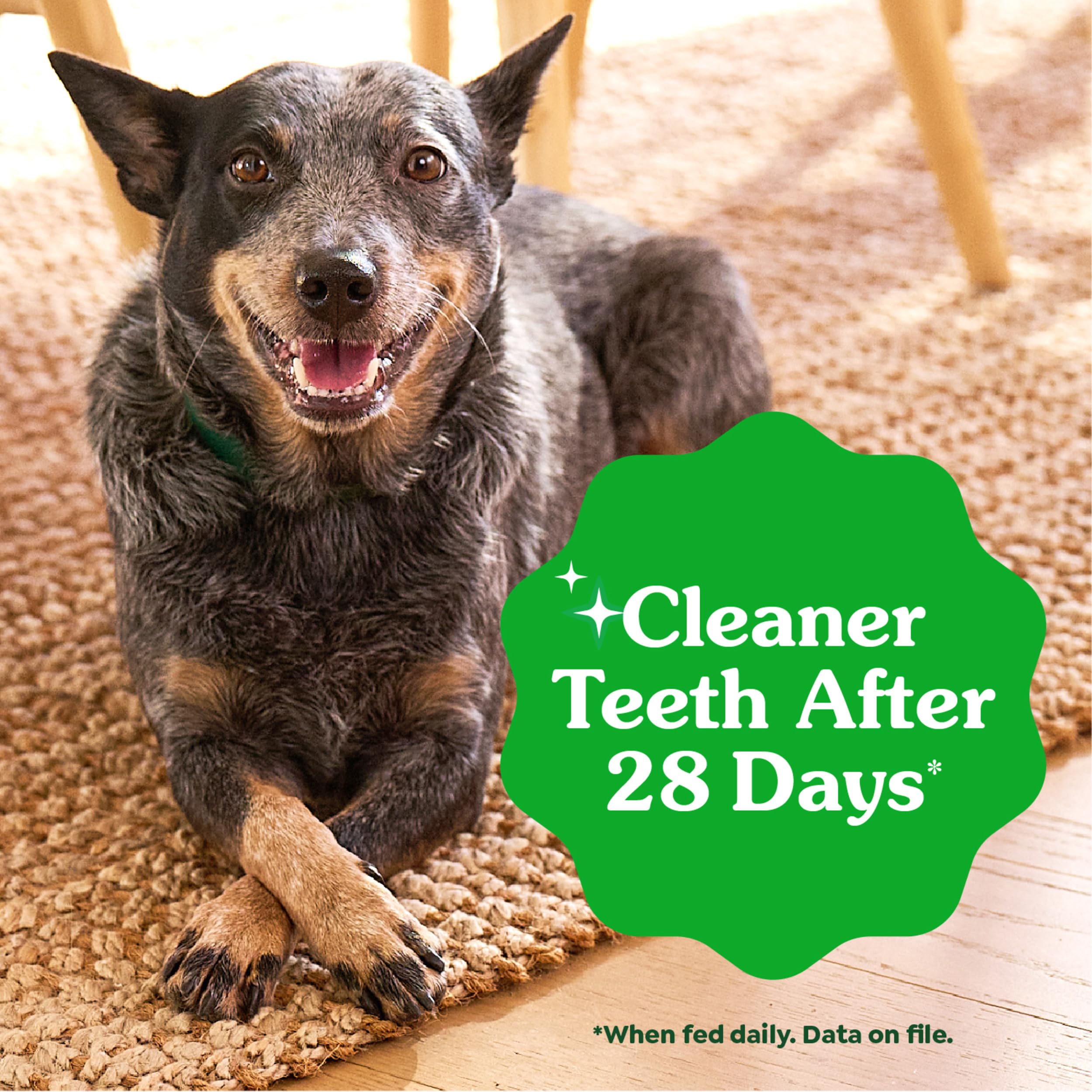 Greenies Veterinarian-Recommended Adult Natural Dental Dog Treats Petite Size, Original Flavor, 18 oz. Pack, 30 Count