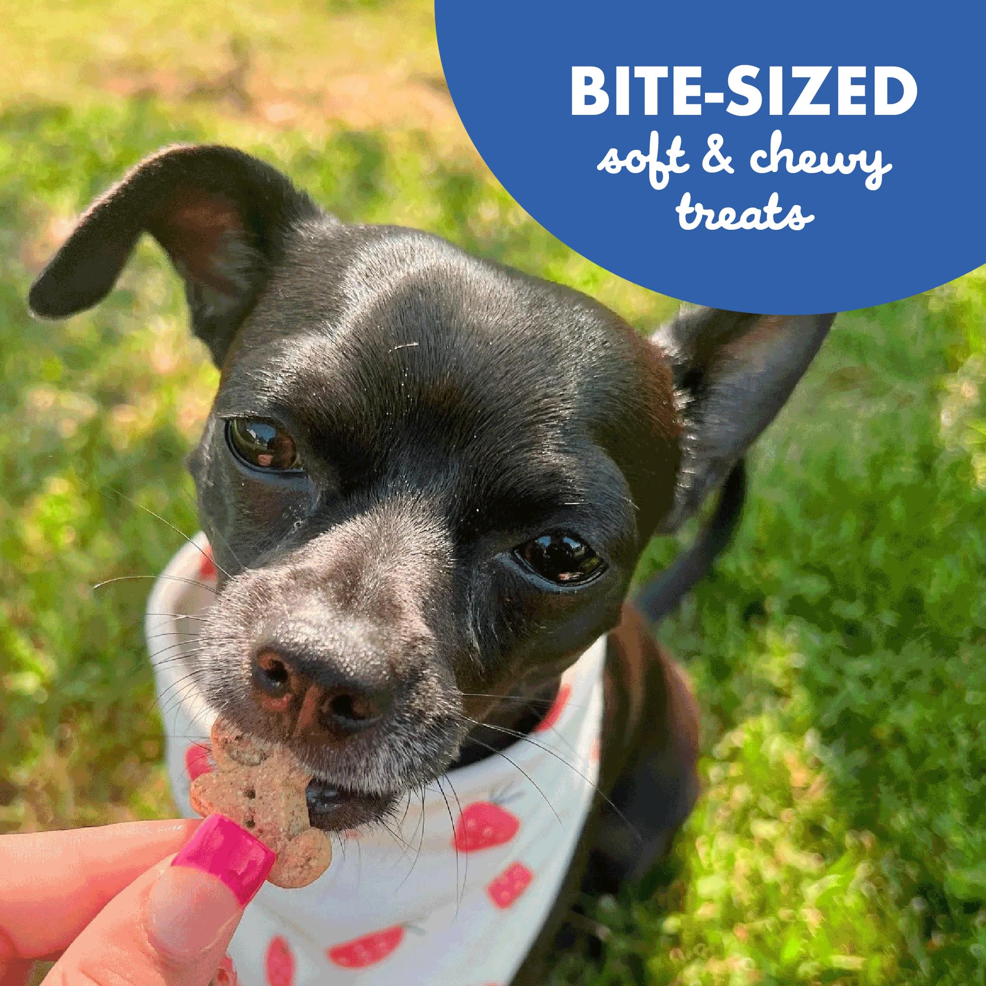 Buddy Biscuits Softies Soft & Chewy Dog Treats, Bacon & Cheese, 20 oz. Pouch
