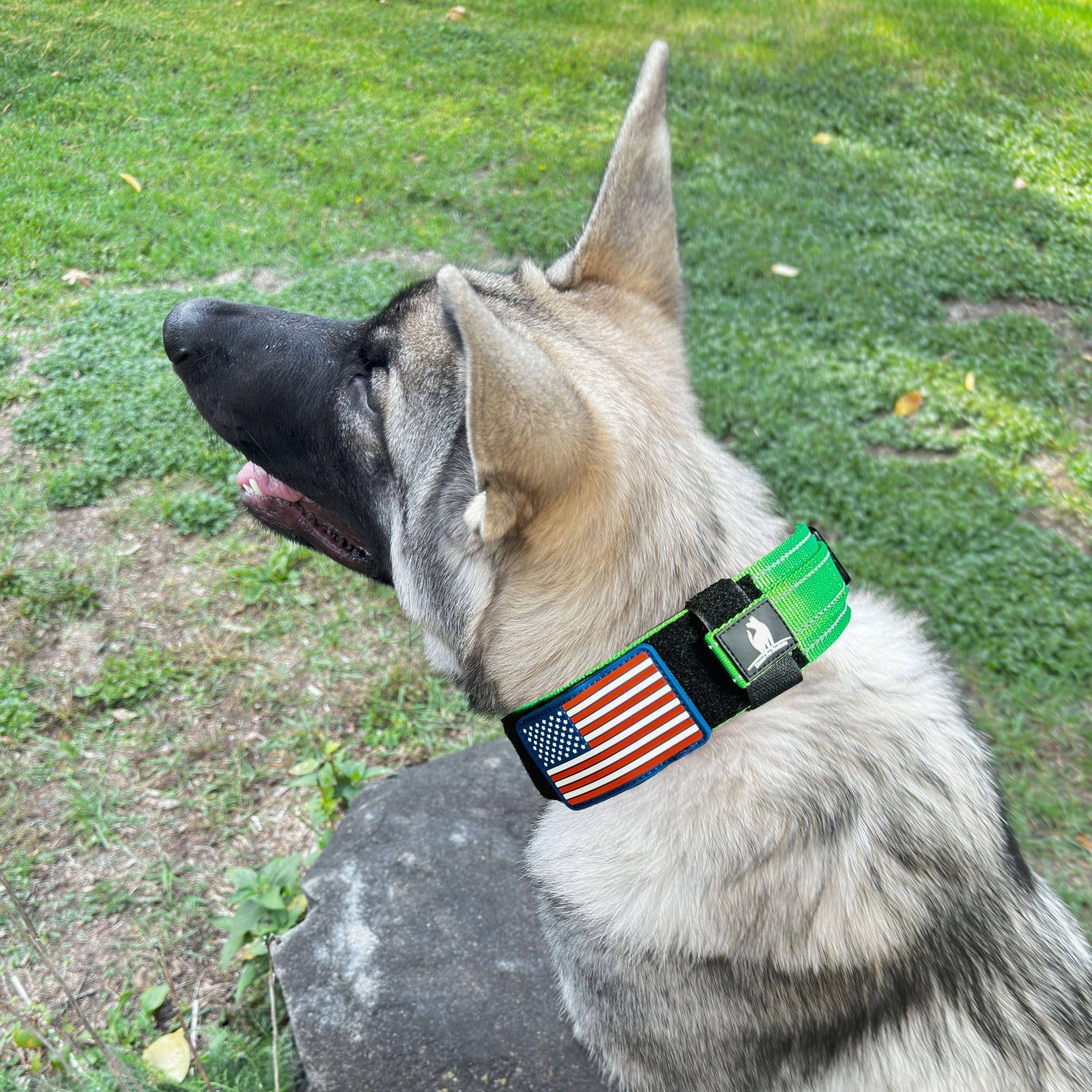 2-Inch Wide Tactical Dog Collar with Control Handle, Adjustable for Medium & Large Dogs, Military Style with Heavy-Duty Metal Buckle, USA Flag Patch & Customizable Name Plate, Training & Everyday Use