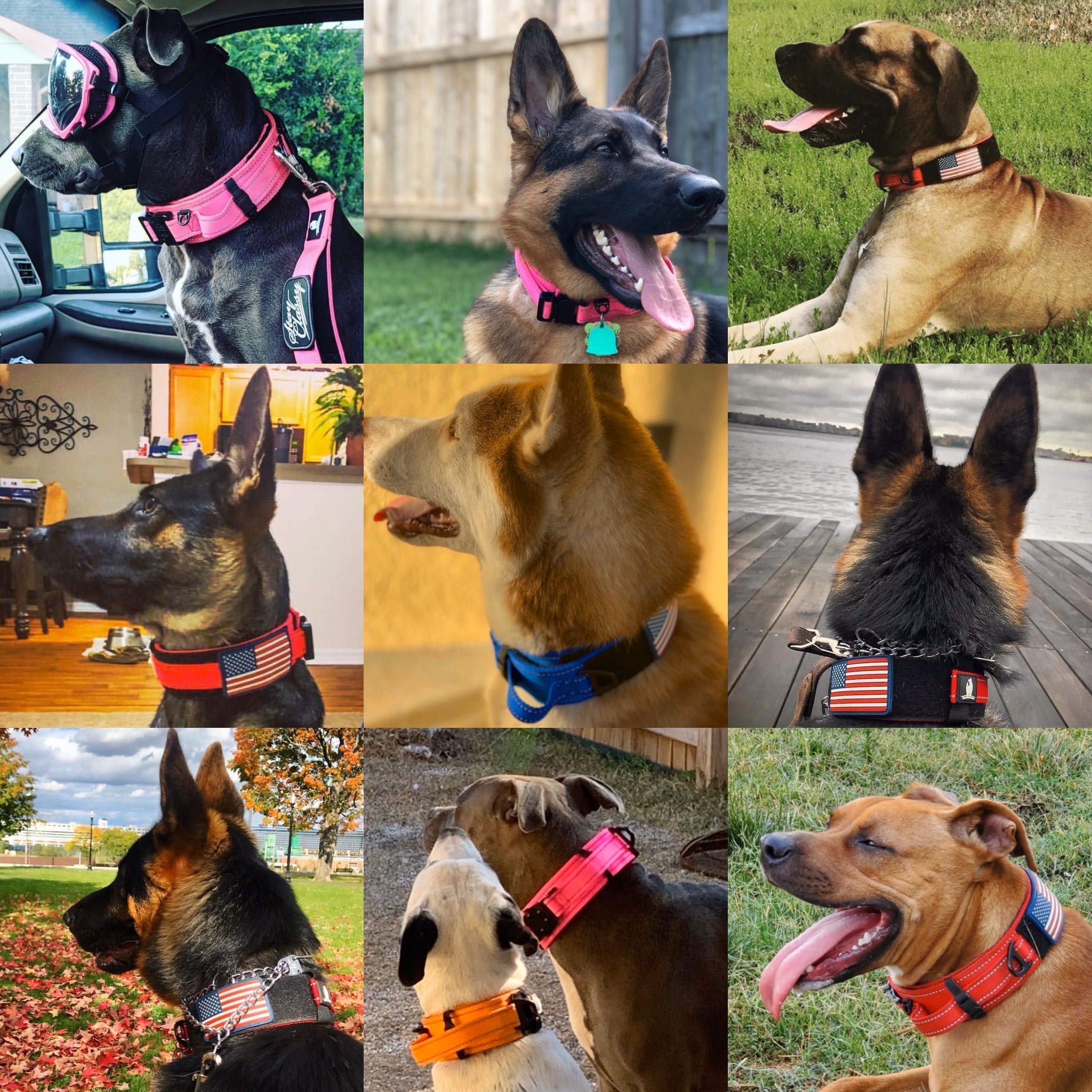 2-Inch Wide Tactical Dog Collar with Control Handle, Adjustable for Medium & Large Dogs, Military Style with Heavy-Duty Metal Buckle, USA Flag Patch & Customizable Name Plate, Training & Everyday Use