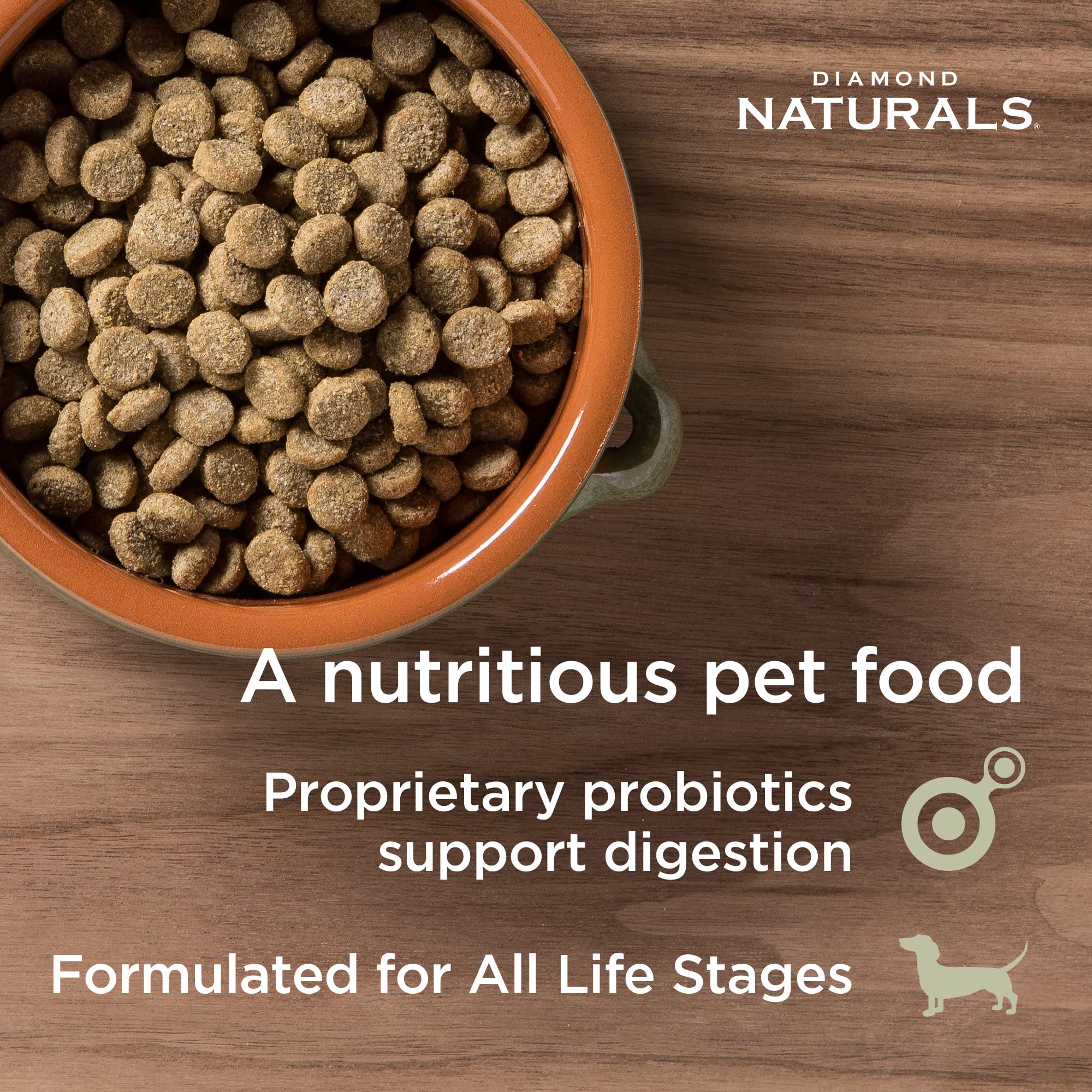Diamond Naturals Skin & Coat Real Salmon and Potato Recipe Dry Dog Food with Quality Protein, Omega Fatty Acids, Probiotics and Essential Nutrients to Promote Healthy Skin and Coat 30lb
