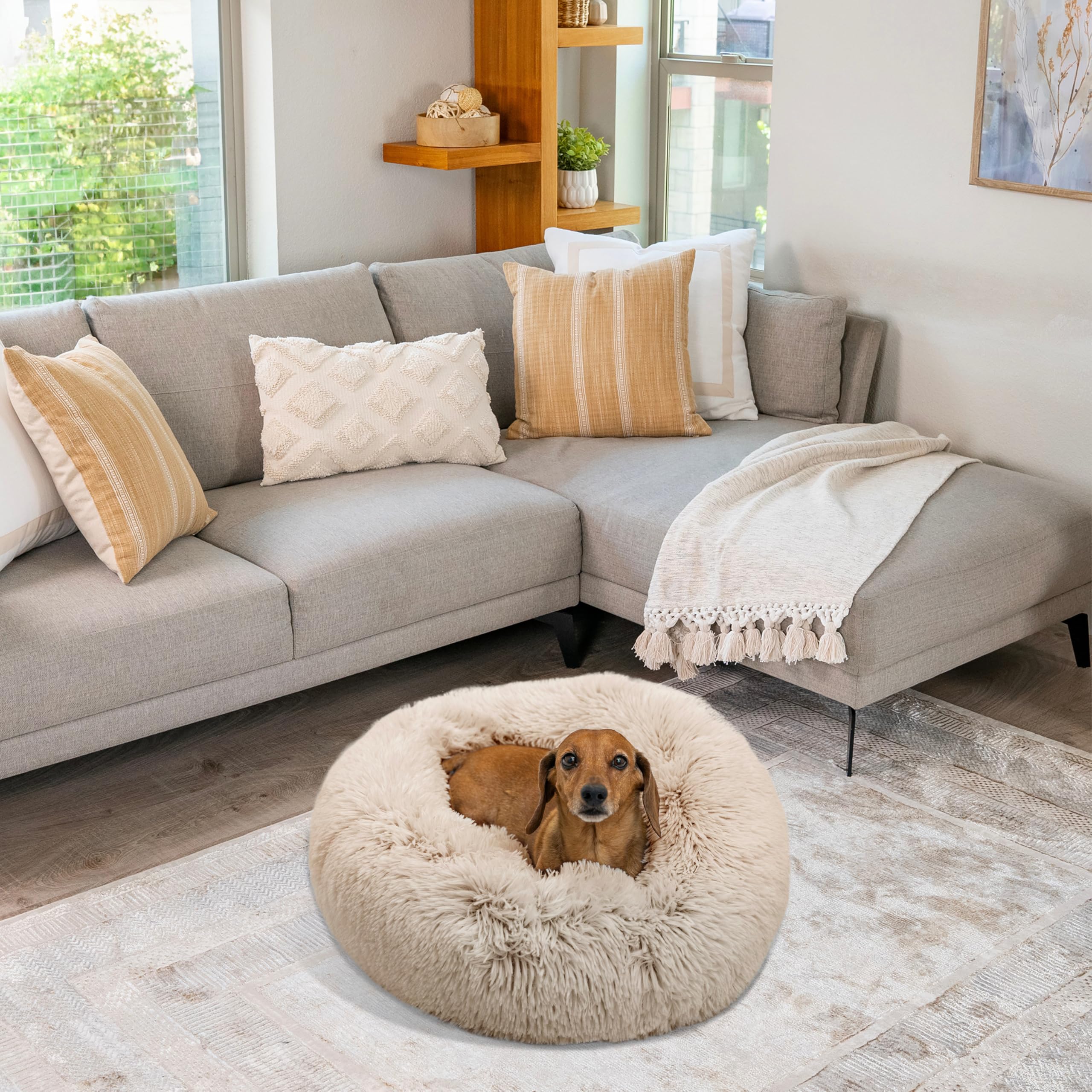 Best Friends by Sheri The Original Calming Donut Dog Bed for Small Dogs up to 25 lbs, Shag Faux Fur, Taupe, 23" x 23"