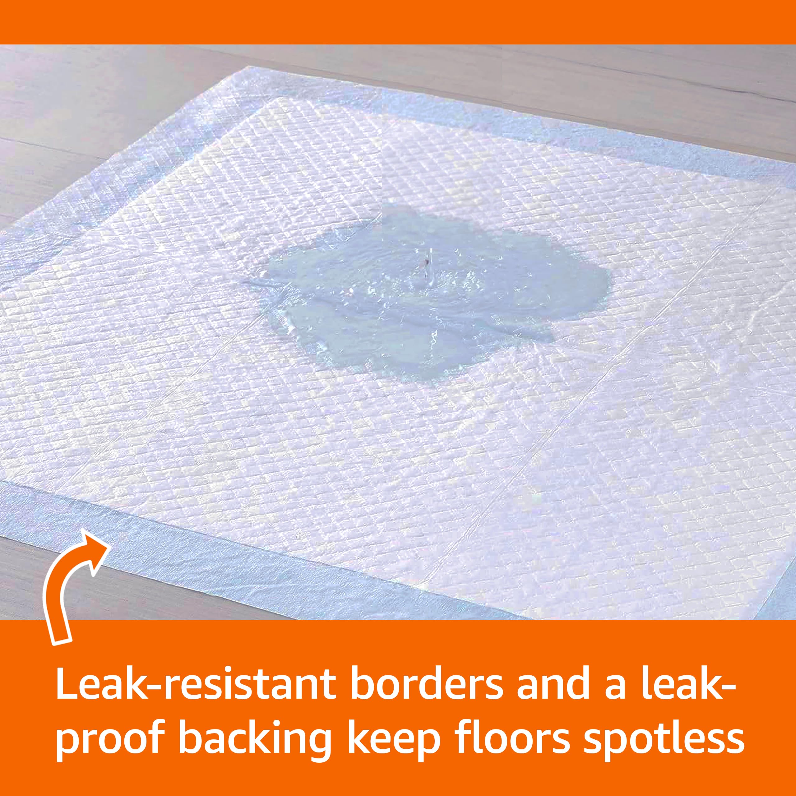 Amazon Basics Heavy Duty Absorbent Dog and Puppy Pee Pads with 5-Layer Leak-Proof Design and Quick-Dry Surface for Potty Training, Regular Size, 24 x 23 Inches, Blue & White, 20-Count