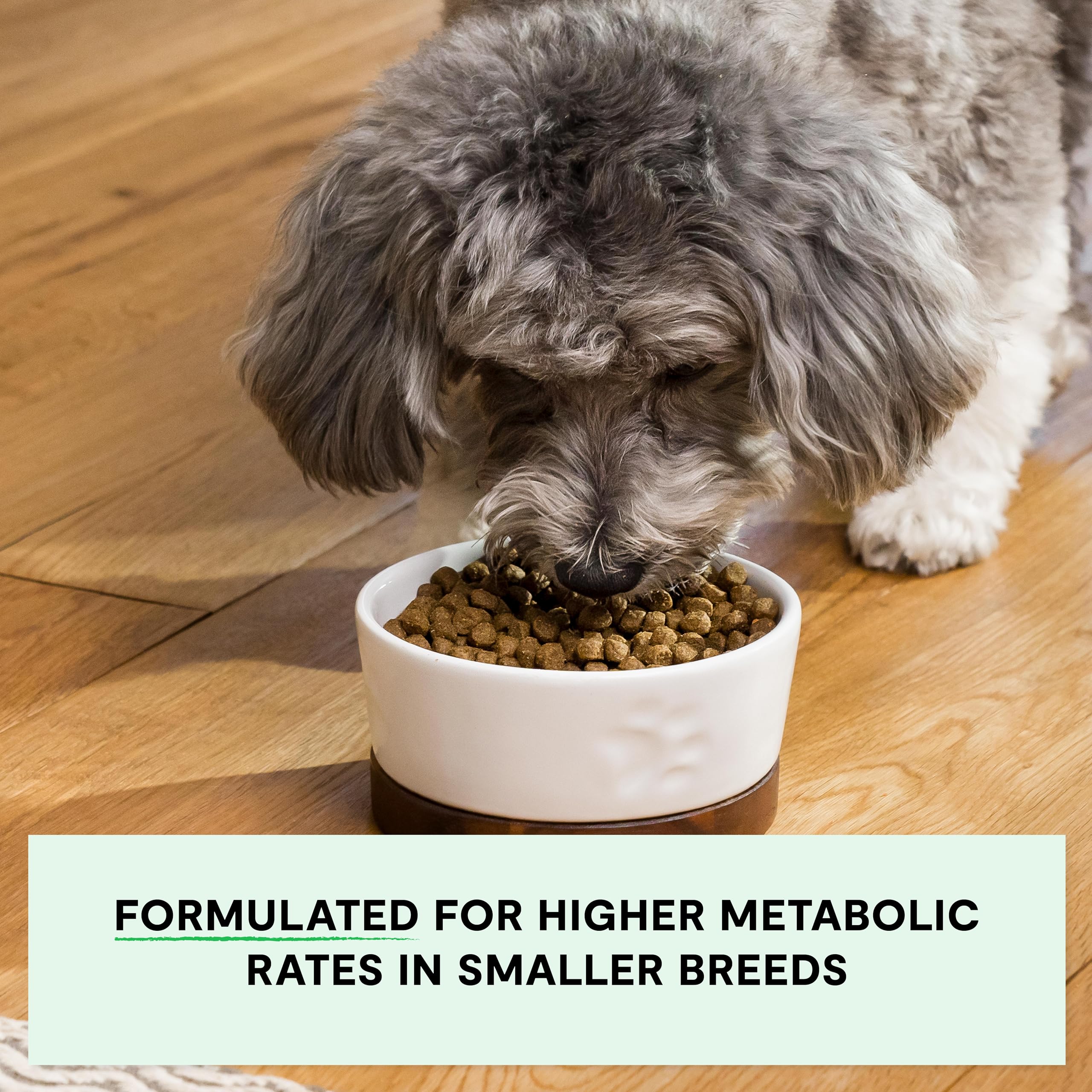 Open Farm, Grain-Free Dry Dog Food for Small Breeds, High-Protein Kibble, Sustainably & Ethically Sourced Ingredients, Non-GMO Veggies & Superfoods, Chicken & Turkey Recipe for Small Dogs, 4lb Bag