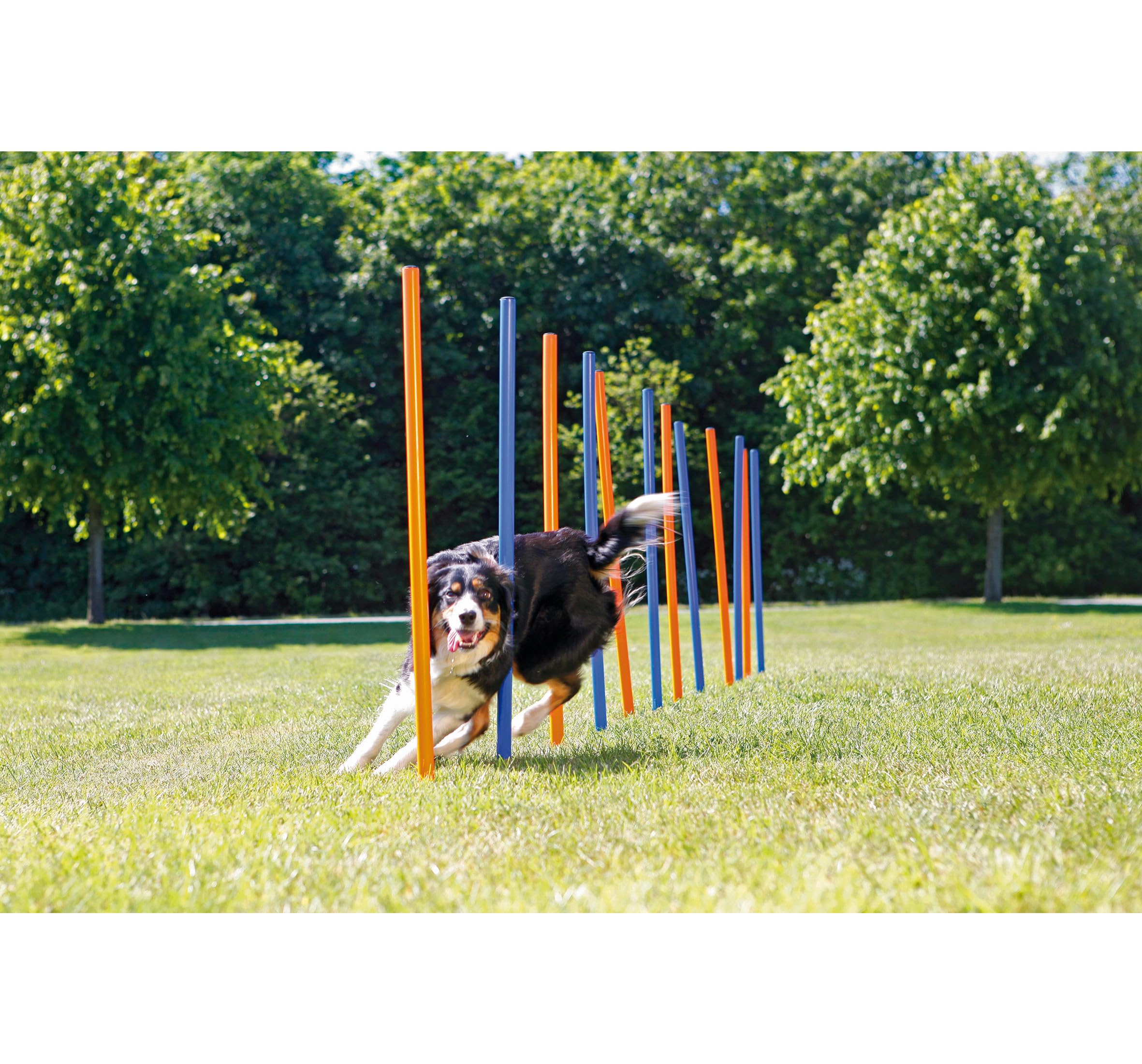 Trixie Dog Agility Slalom Course - 12 Adjustable Weave Poles Backyard Set - Portable Training Equipment with Carrying Bag & Training Guide - for All Breeds