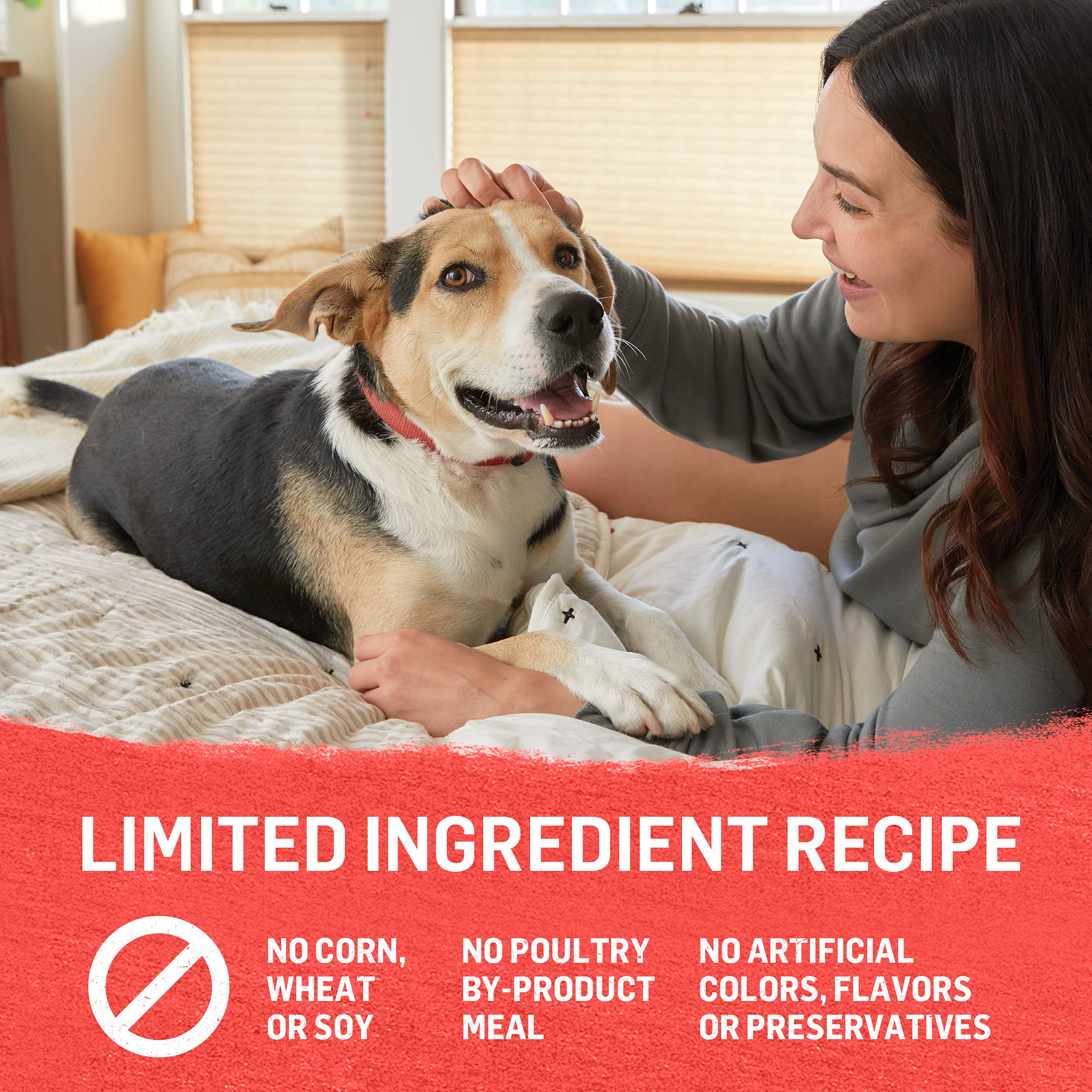 Purina Beyond Chicken, Beef and Cod Ground Entree Grain Free Wet Dog Food Variety Pack - (Pack of 12) 13 oz. Cans