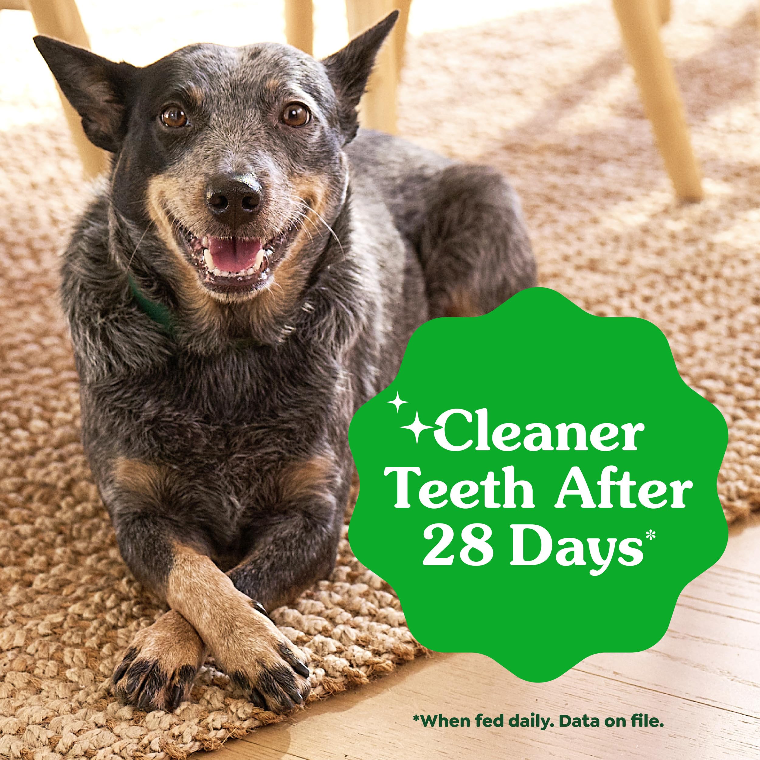 Greenies Veterinarian-Recommended Adult Natural Dental Dog Treats Regular Size, Dog Dental Chews, Original Flavor, 12 oz. Pack, 12 Count