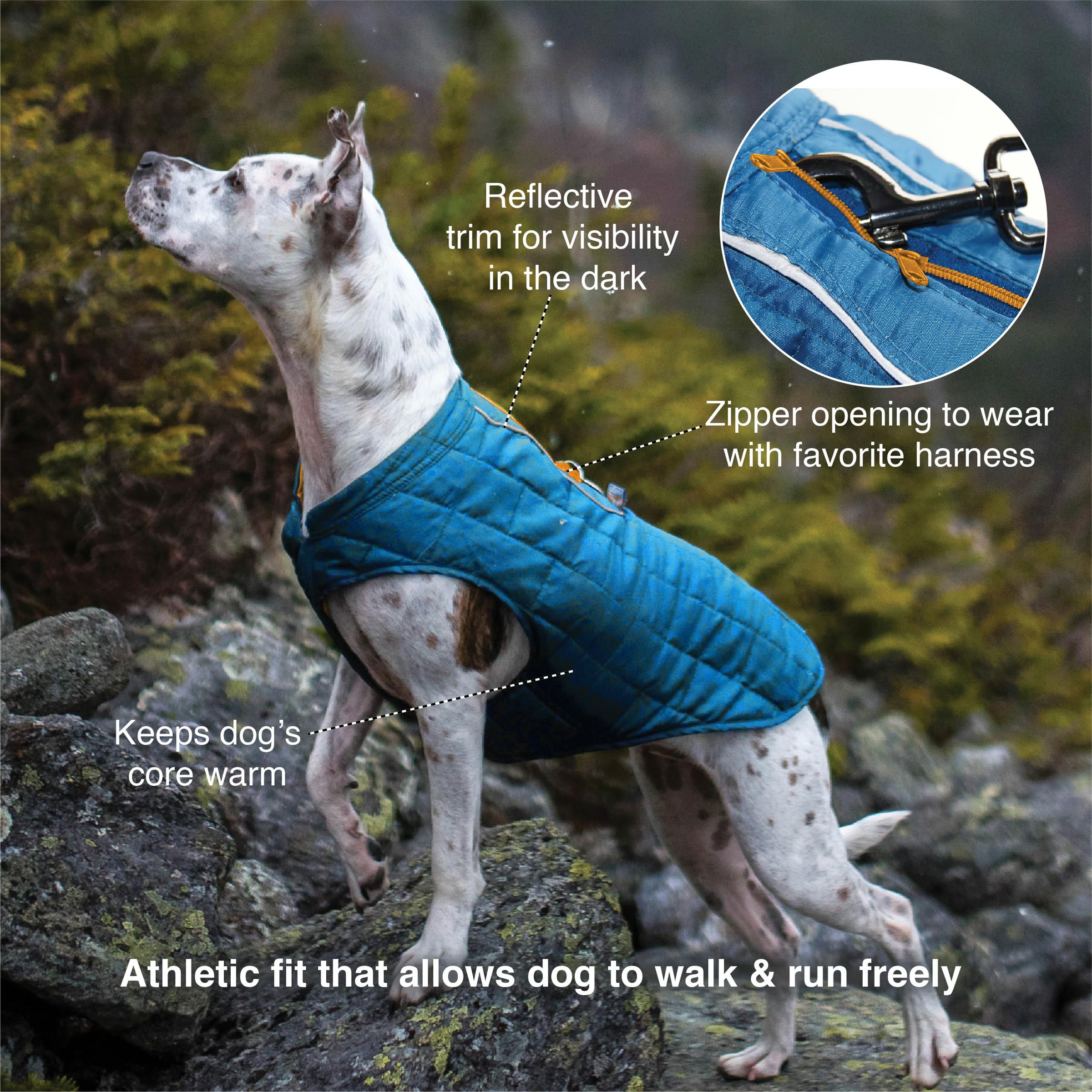 Kurgo Loft Dog Jacket - Reversible Cozy Coat for Outdoor Adventures - Water Resistant - Athletic Fit - Machine Washable Fabric - Reflective Dog Gear - Medium - Coastal Blue
