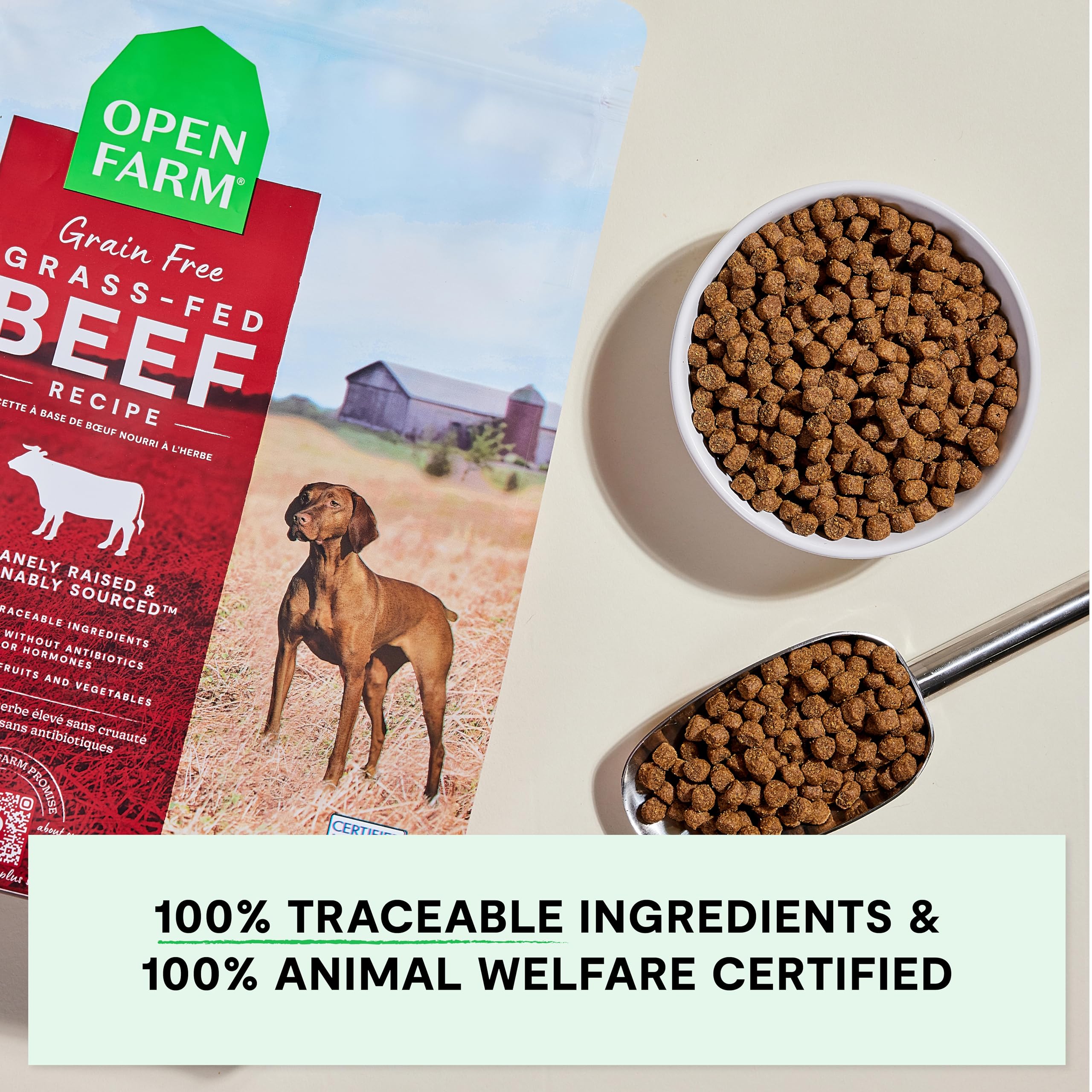 Open Farm, Grain-Free Dry Dog Food, Complete & Balanced Kibble, Sustainably & Ethically Sourced Ingredients, Non-GMO Veggies & Superfoods to Support Overall Health, Grass-Fed Beef Recipe, 22lb Bag