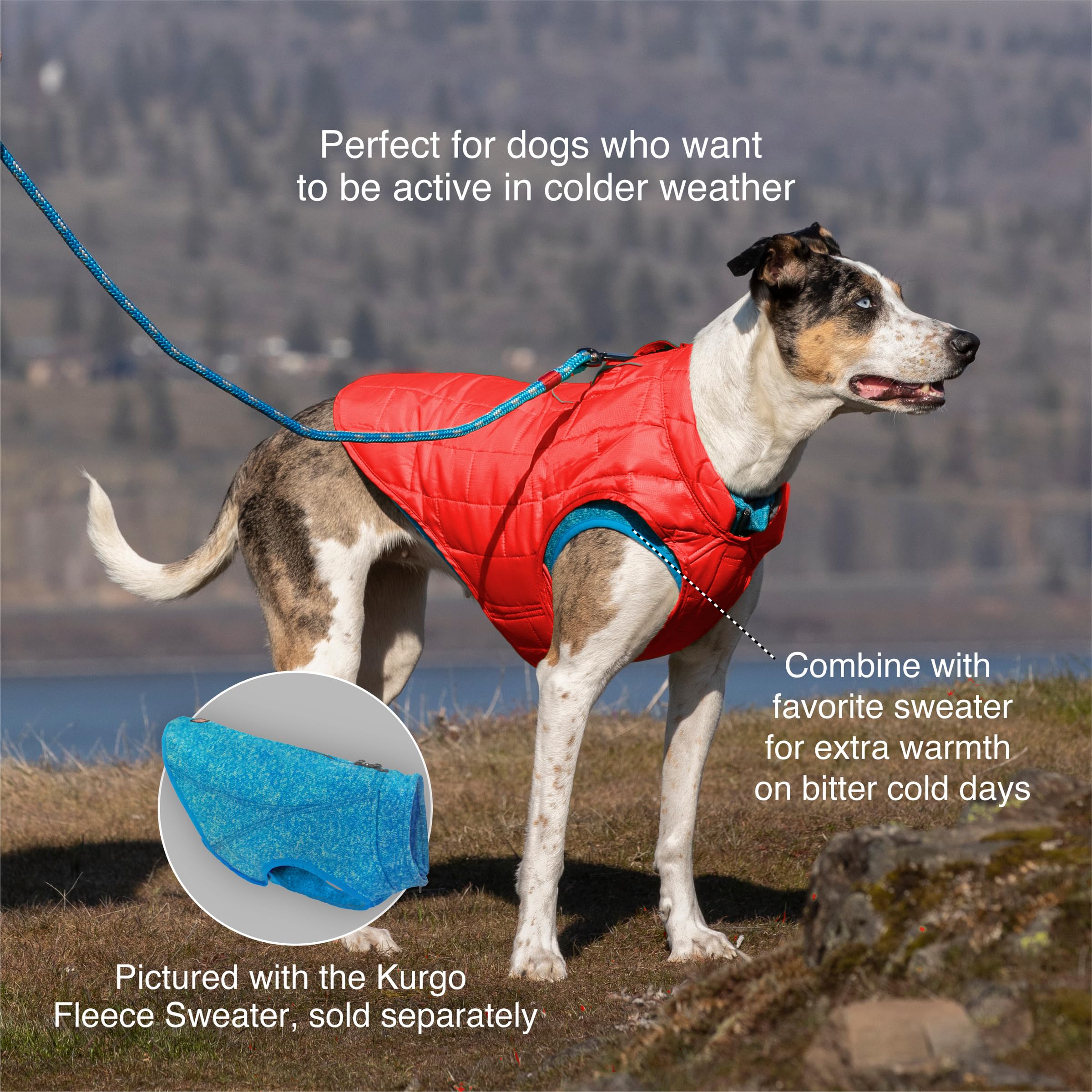 Kurgo Loft Dog Jacket - Reversible Cozy Coat for Outdoor Adventures - Water Resistant - Athletic Fit - Machine Washable Fabric - Reflective Dog Gear - Medium - Coastal Blue