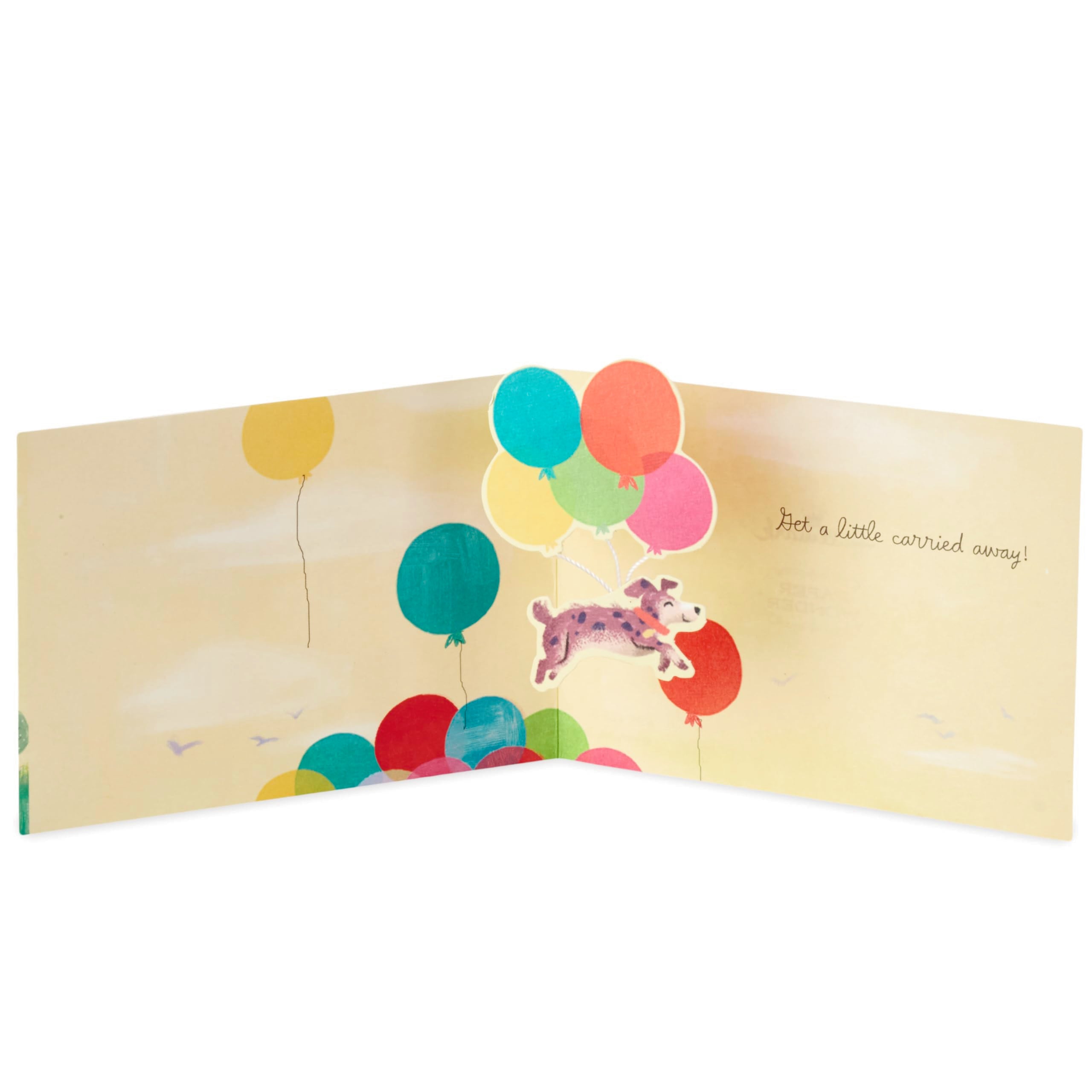 Hallmark Paper Wonder Pop Up Birthday Card (Get Carried Away)