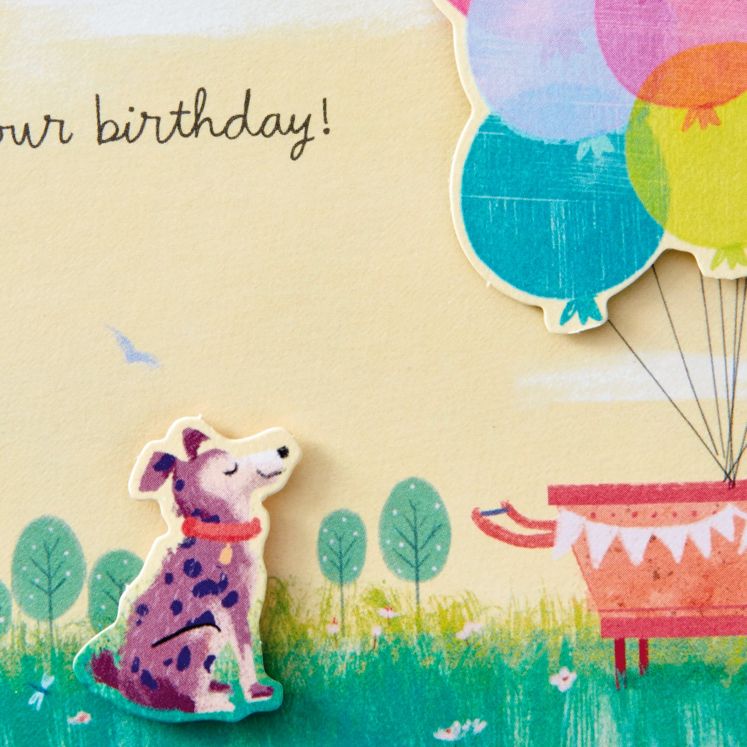 Hallmark Paper Wonder Pop Up Birthday Card (Get Carried Away)