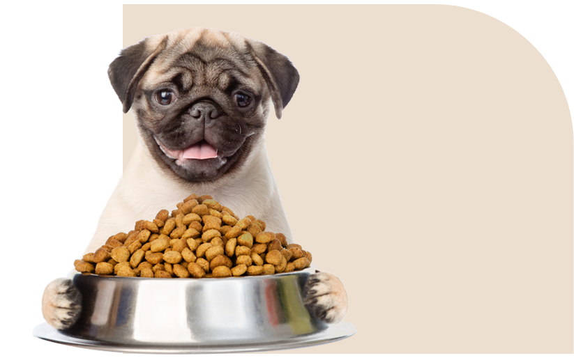 Nutritious <br>Dog Food